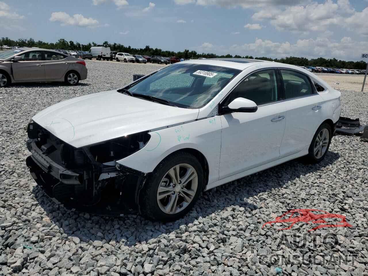 HYUNDAI SONATA 2019 - 5NPE34AF1KH768910