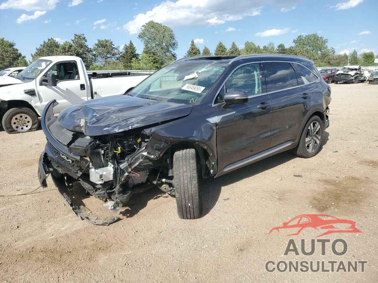 KIA SORENTO 2024 - KNDRHDLG1R5258625