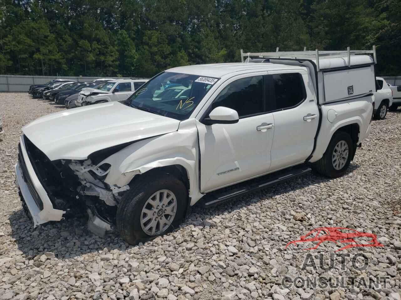 TOYOTA TACOMA 2024 - 3TYKB5FN0RT002347