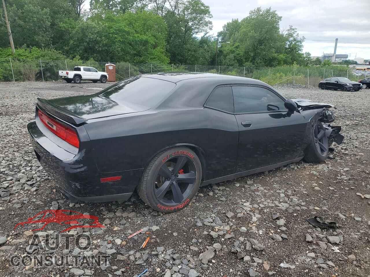 DODGE CHALLENGER 2013 - 2C3CDYBT8DH541617