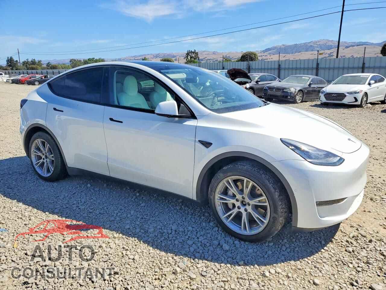 TESLA MODEL Y 2022 - 7SAYGDEE3NF425119