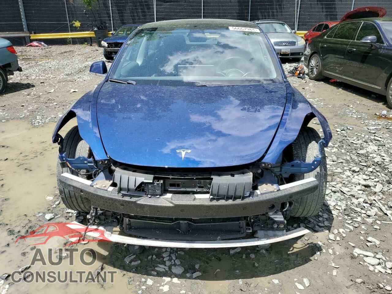 TESLA MODEL 3 2019 - 5YJ3E1EB3KF533396