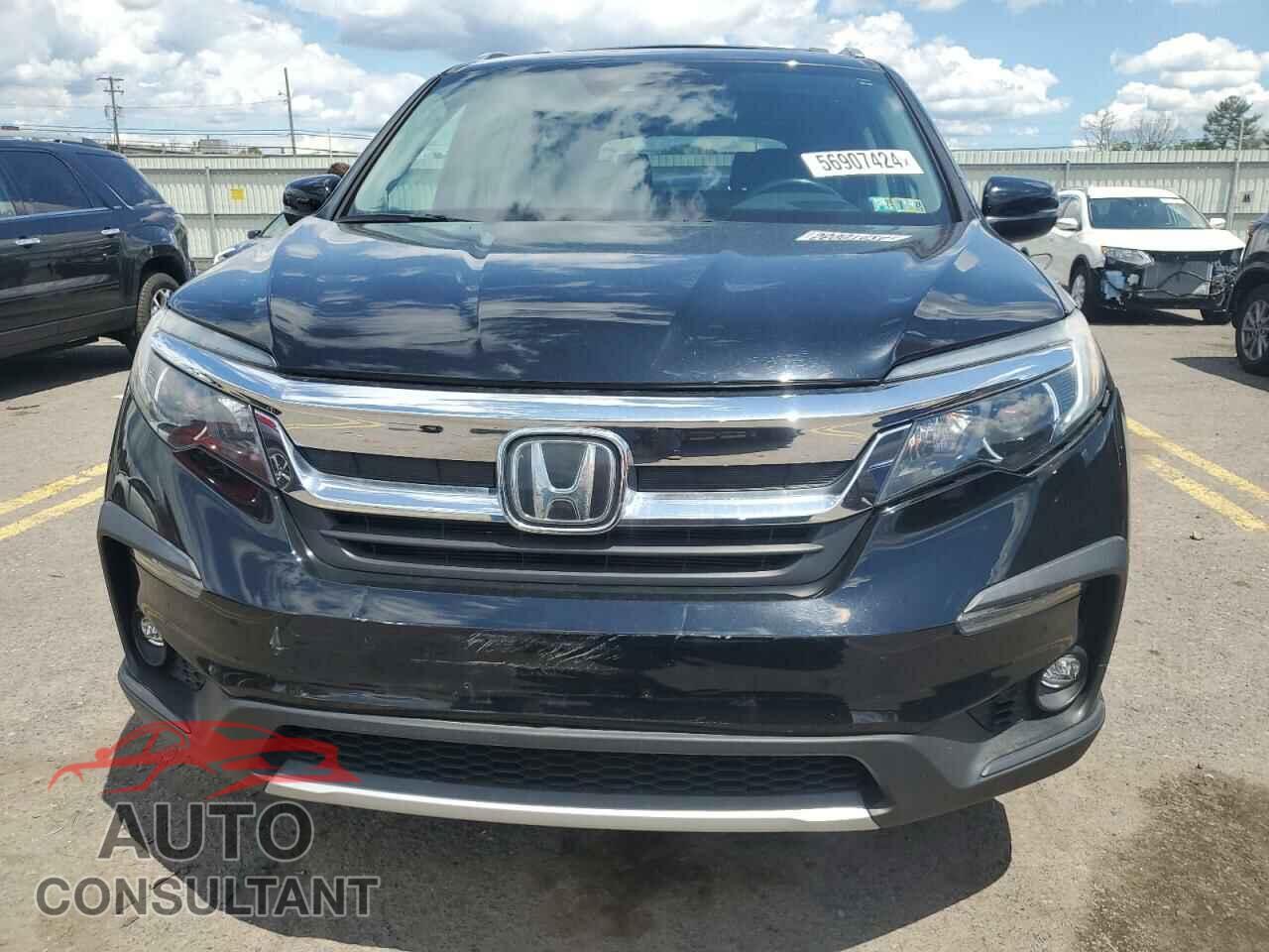 HONDA PILOT 2019 - 5FNYF6H59KB053238