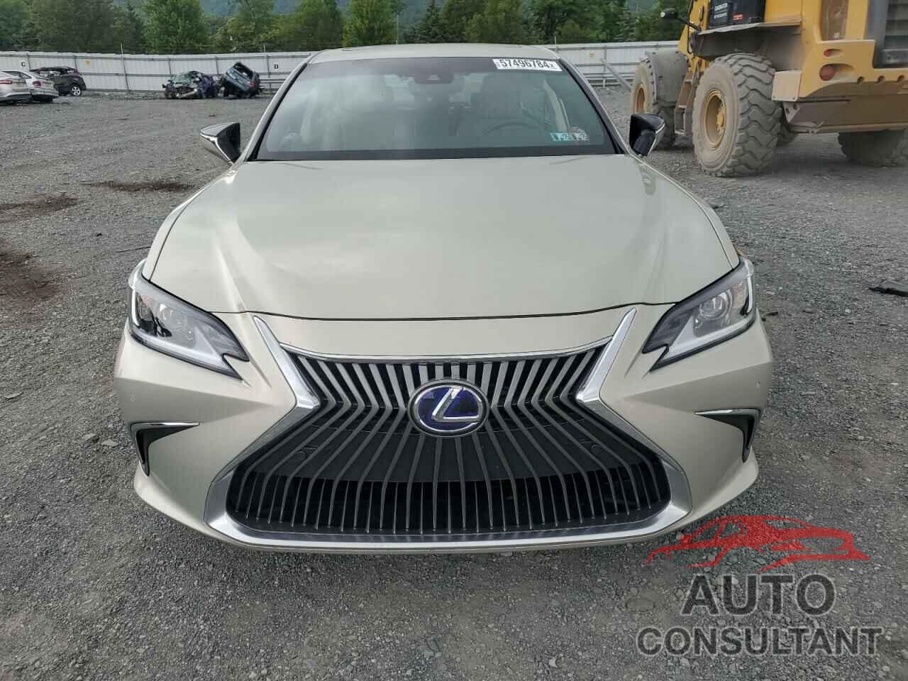 LEXUS ES300 2020 - 58AD21B12LU007265