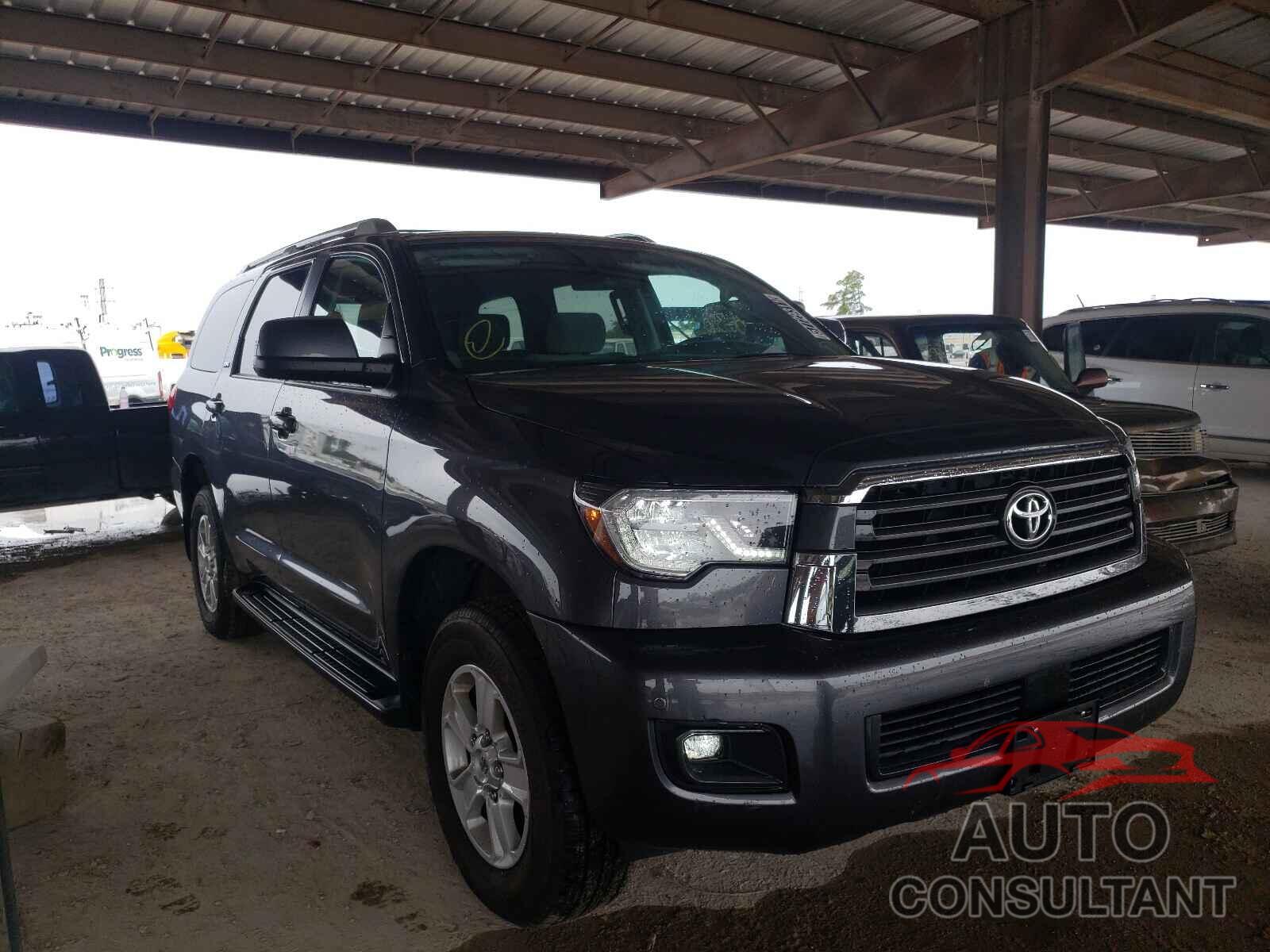 TOYOTA SEQUOIA 2019 - 5TDBY5G13KS170642