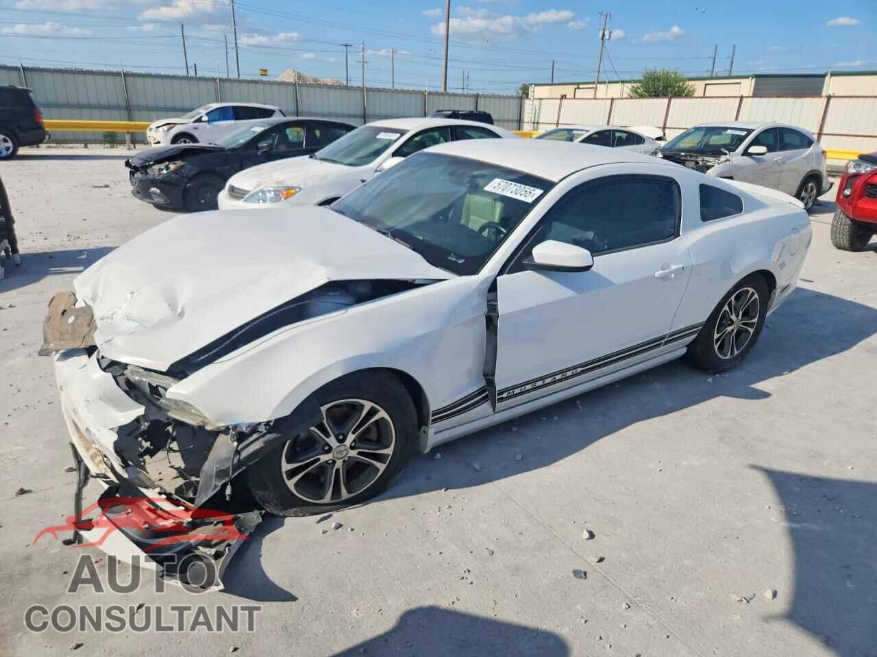 FORD MUSTANG 2014 - 1ZVBP8AM8E5201527