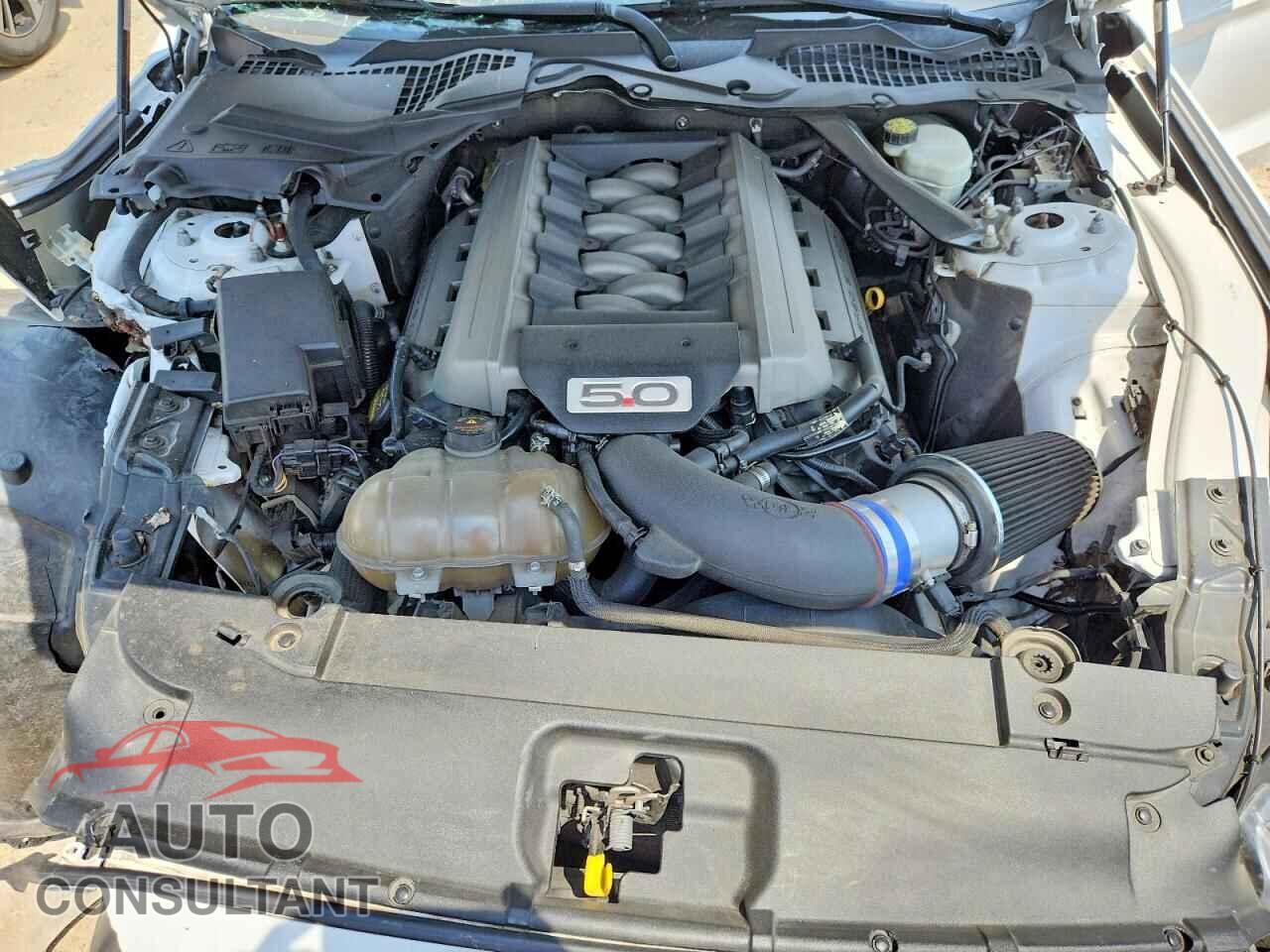 FORD MUSTANG 2015 - 1FA6P8CF3F5424455