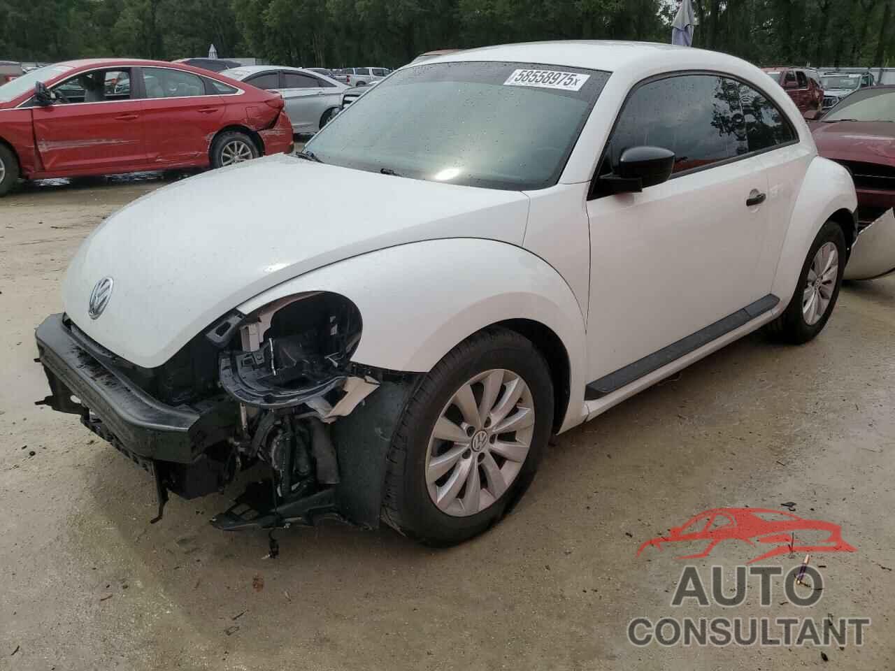 VOLKSWAGEN BEETLE 2018 - 3VWFD7AT9JM717234