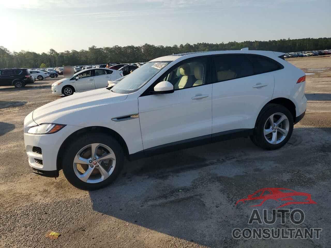 JAGUAR F-PACE 2017 - SADCJ2BN8HA085436