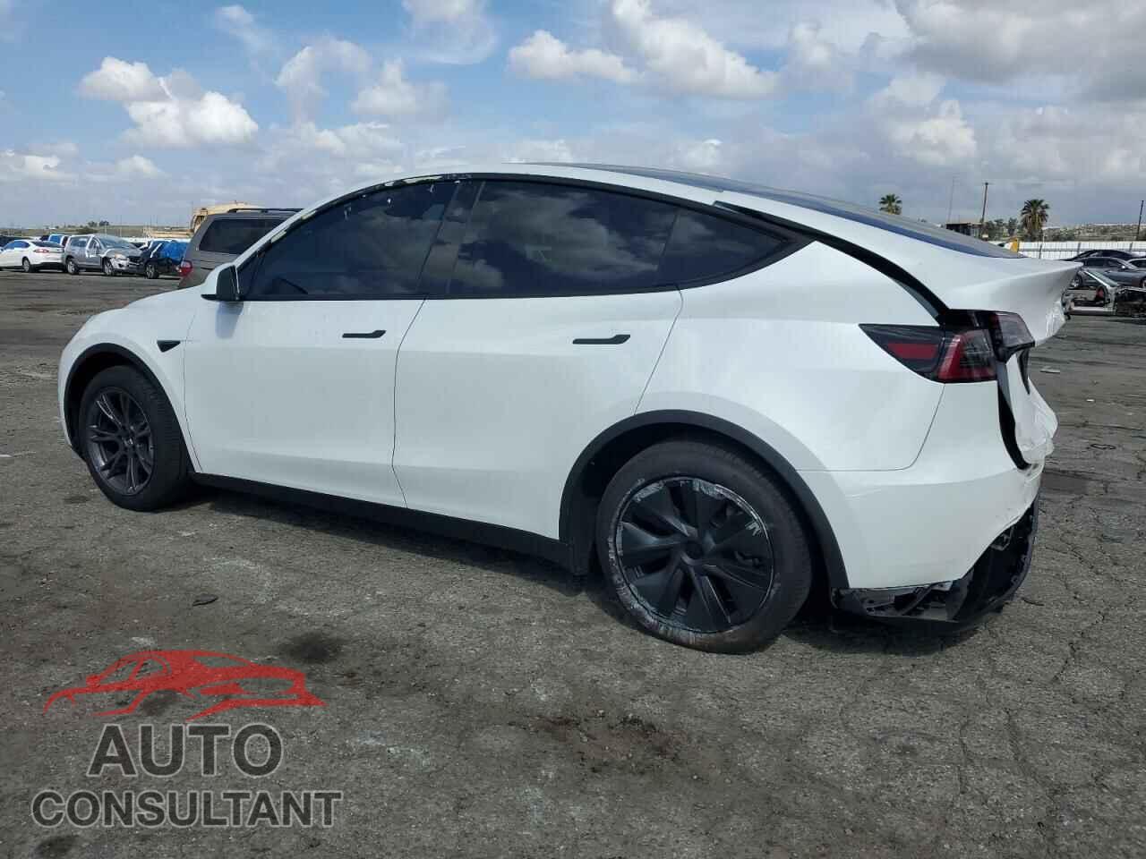 TESLA MODEL Y 2024 - 7SAYGDED5RF158952