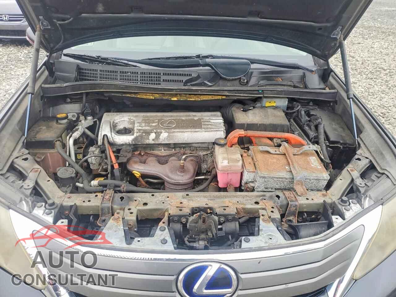 LEXUS HS 2010 - JTHBB1BA8A2037803