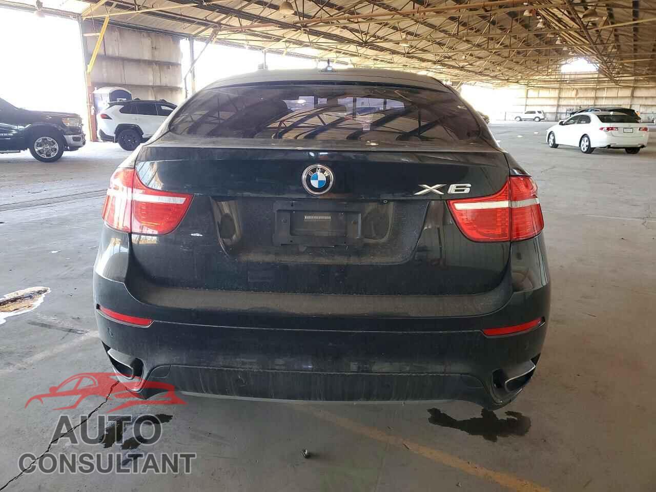 BMW X6 2011 - 5UXFG8C54BLZ96558