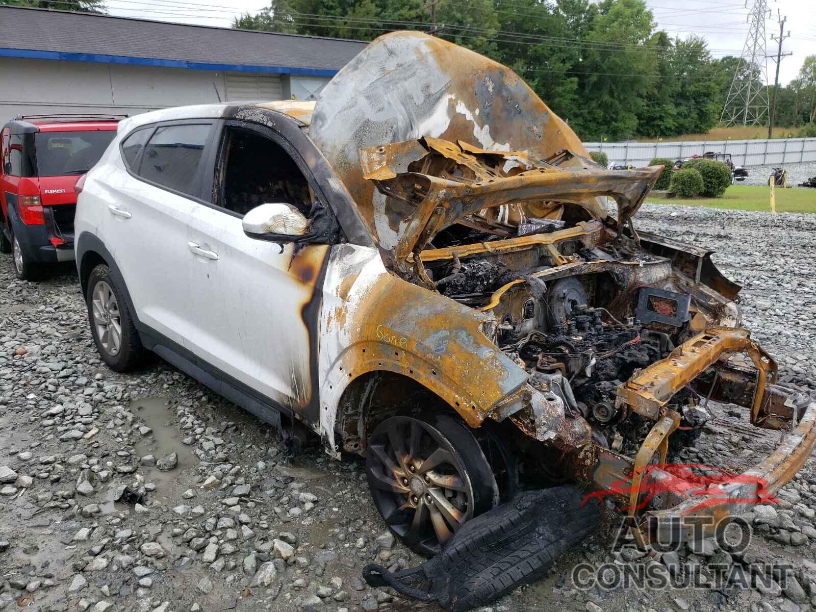 HYUNDAI TUCSON 2017 - KM8J23A42HU412731