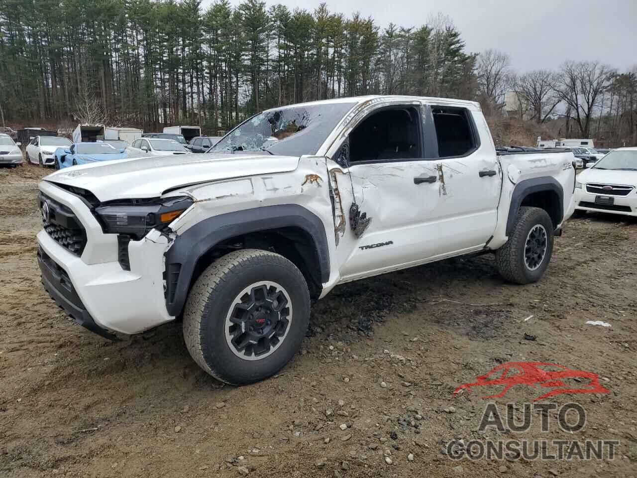 TOYOTA TACOMA 2024 - 3TYLB5JN2RT016245