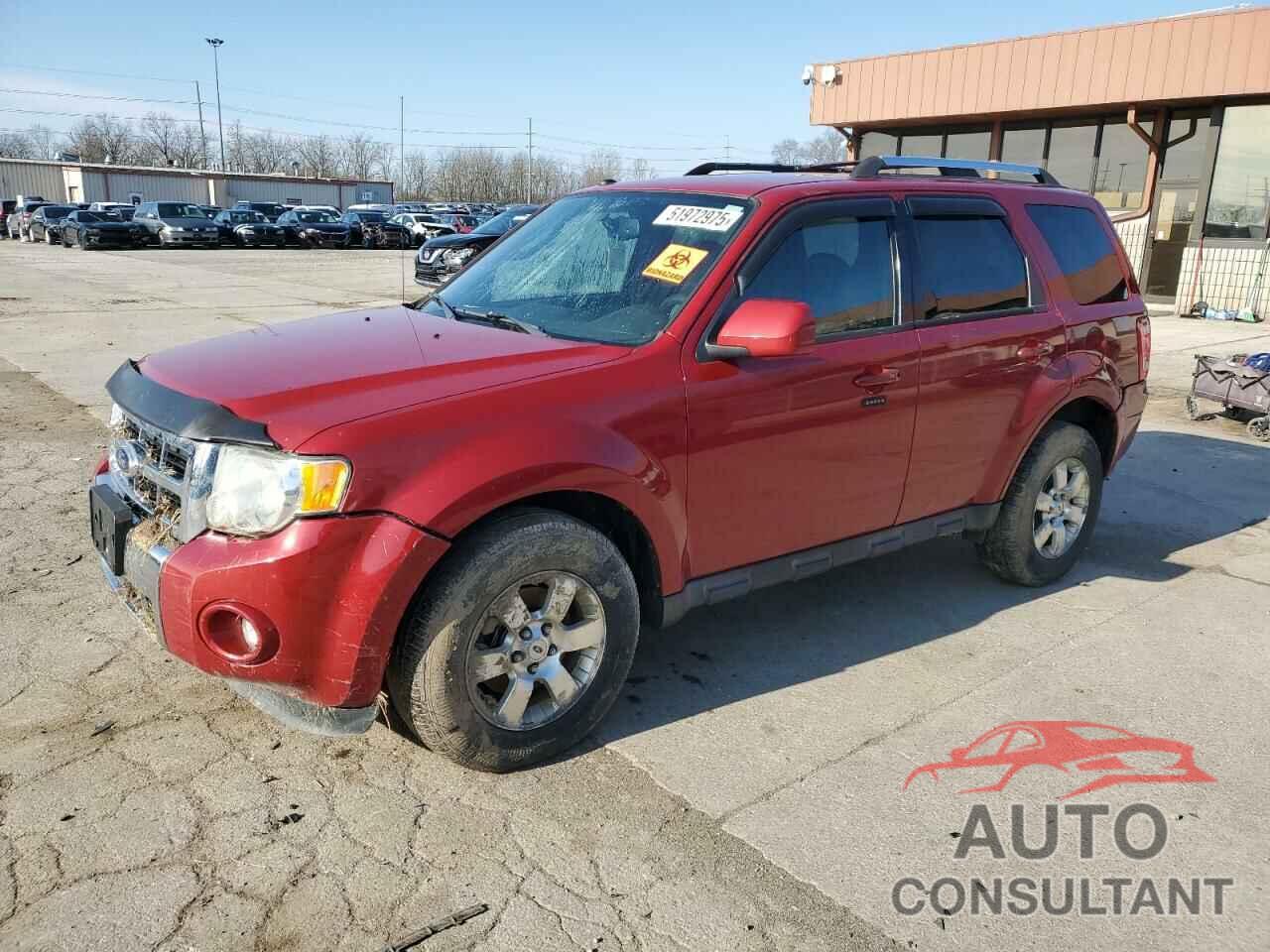 FORD ESCAPE 2011 - 1FMCU0EG4BKB96941
