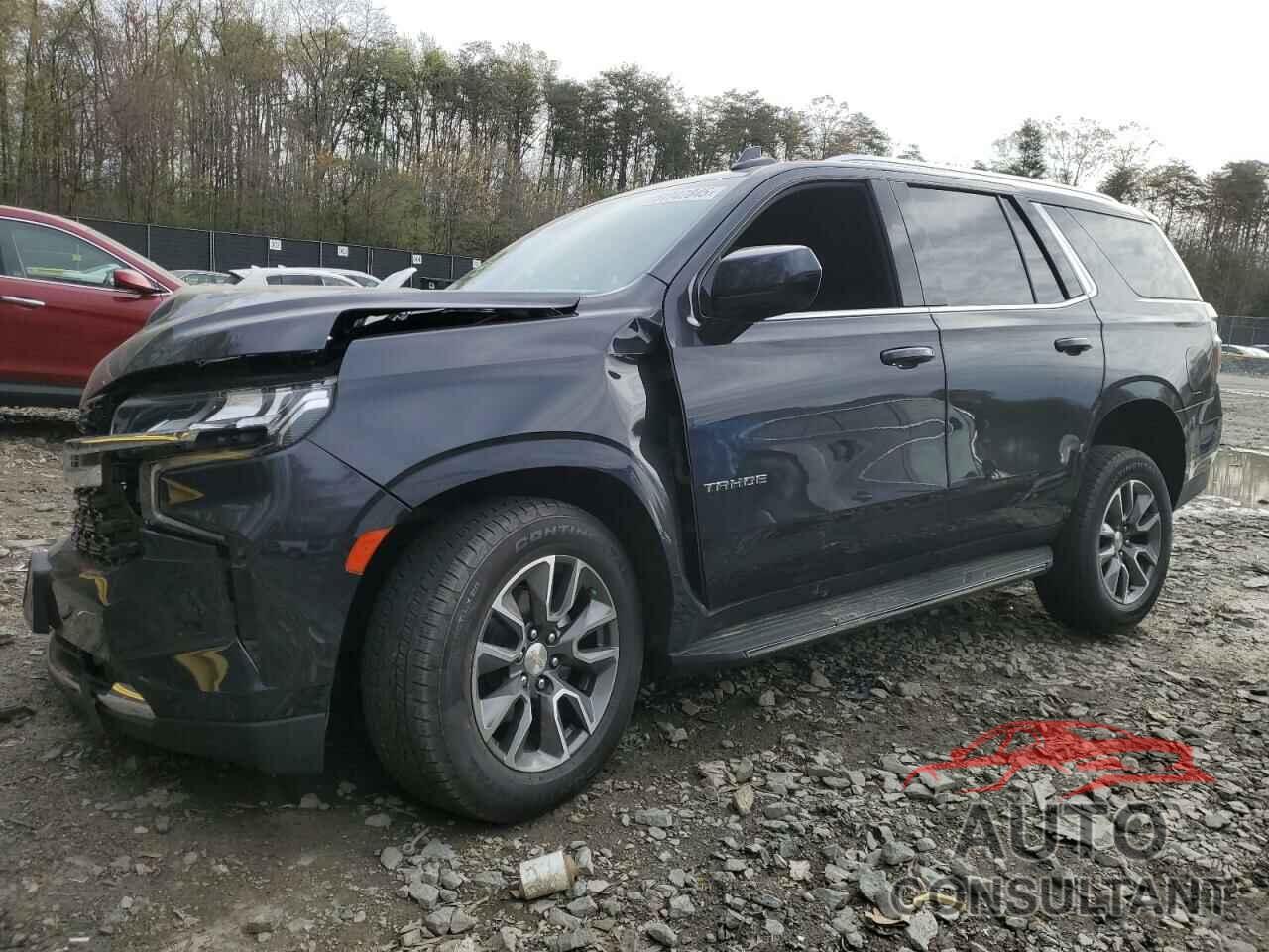 CHEVROLET TAHOE 2023 - 1GNSKMKD5PR252141