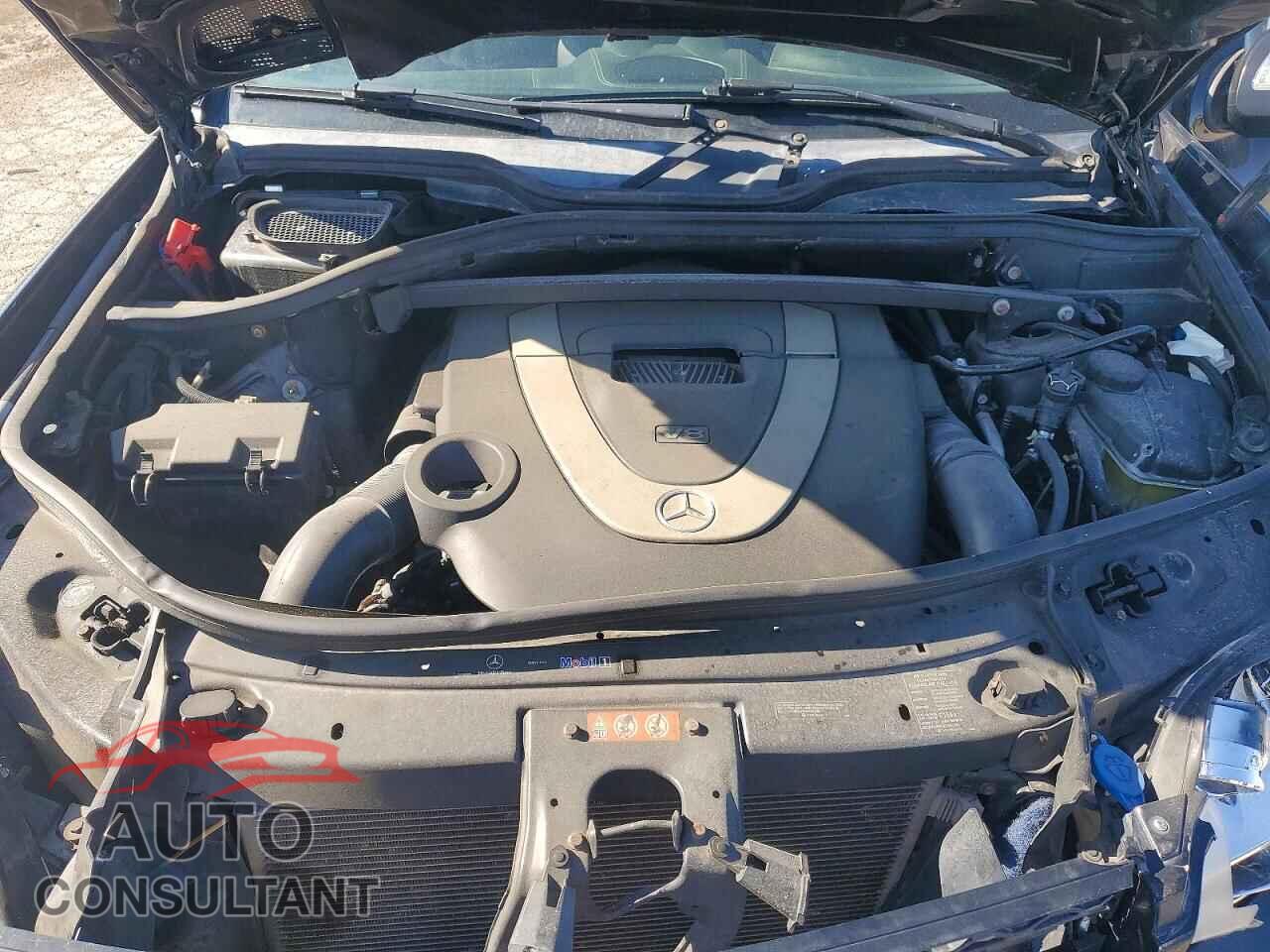MERCEDES-BENZ GL-CLASS 2009 - 4JGBF71E79A512982