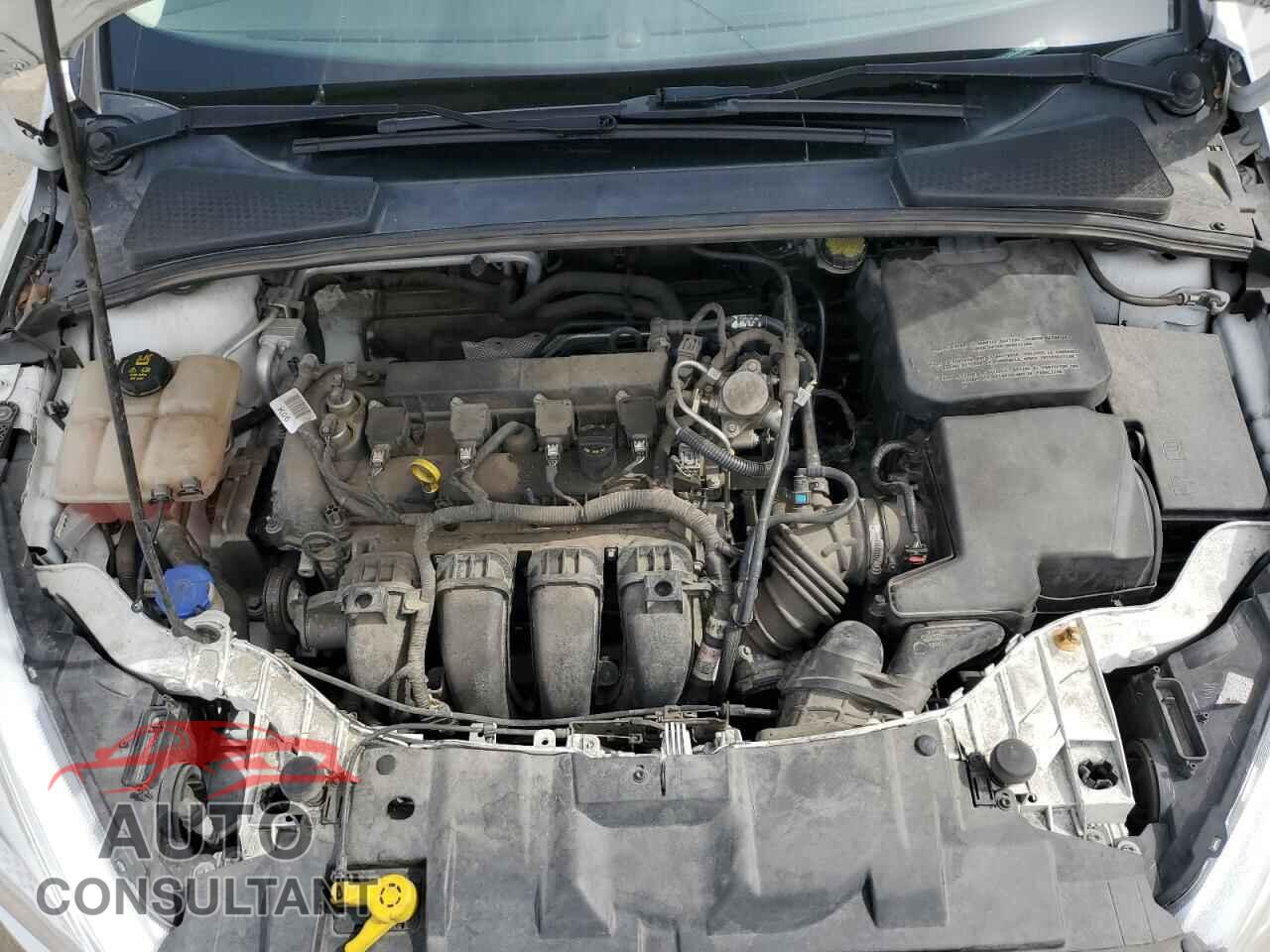 FORD FOCUS 2016 - 1FADP3F25GL324745