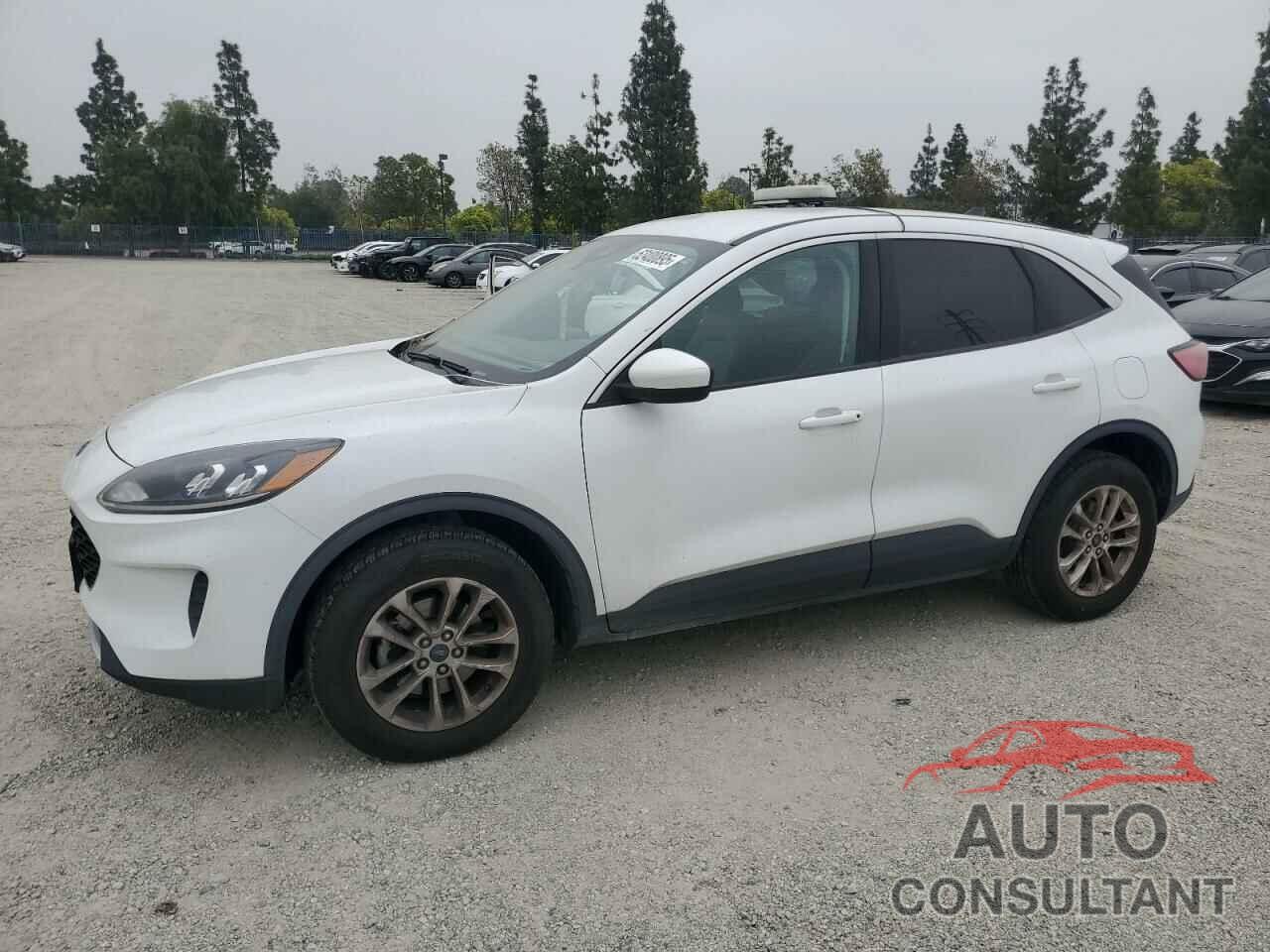 FORD ESCAPE 2021 - 1FMCU9G64MUA51088