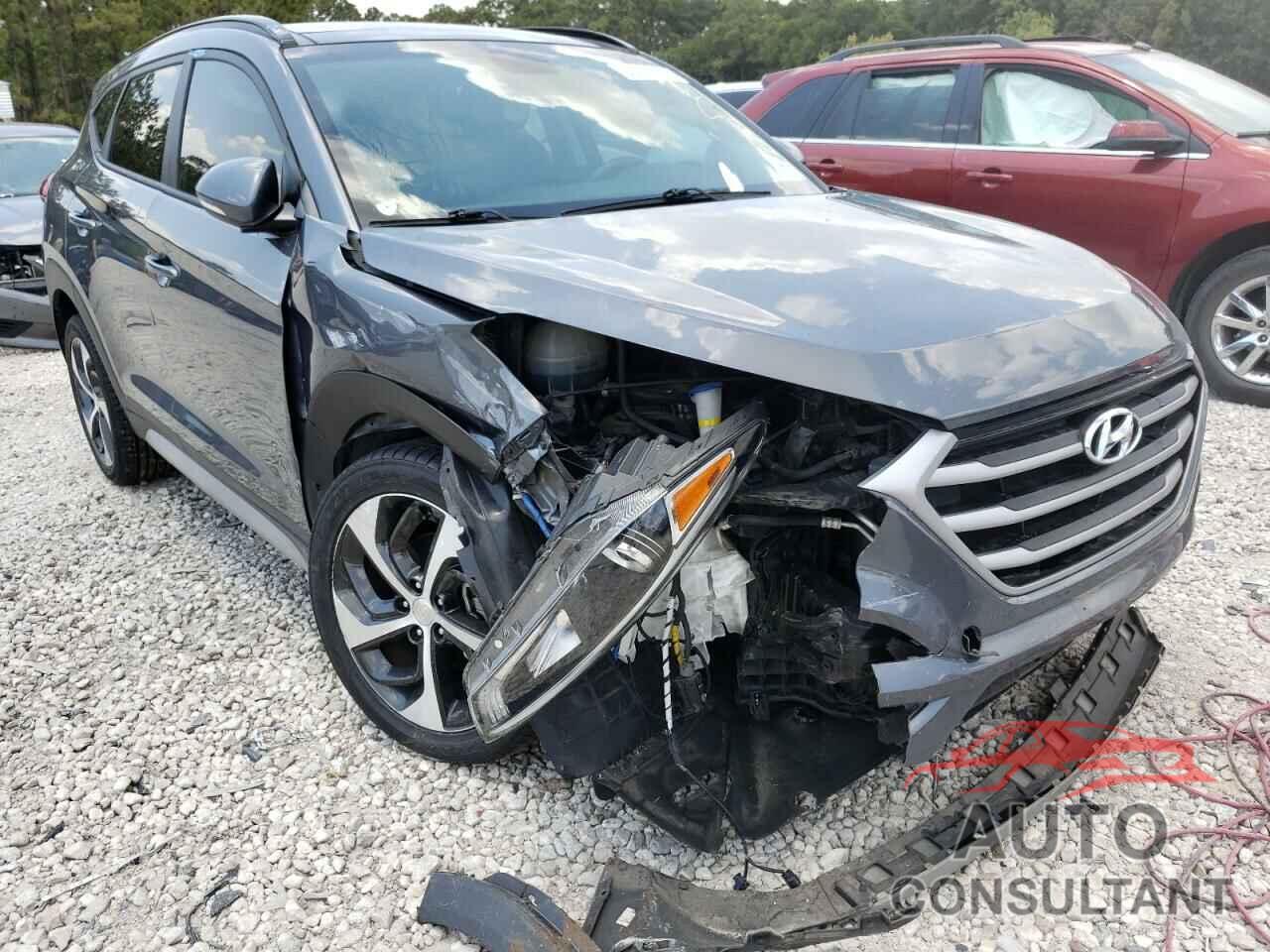 HYUNDAI TUCSON 2017 - KM8J33A23HU556901