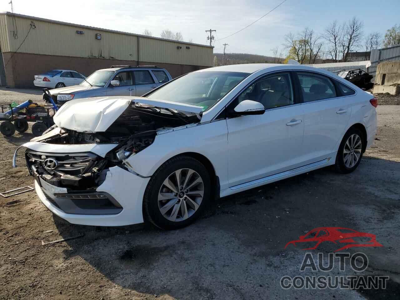 HYUNDAI SONATA 2016 - 5NPE34AF9GH424894