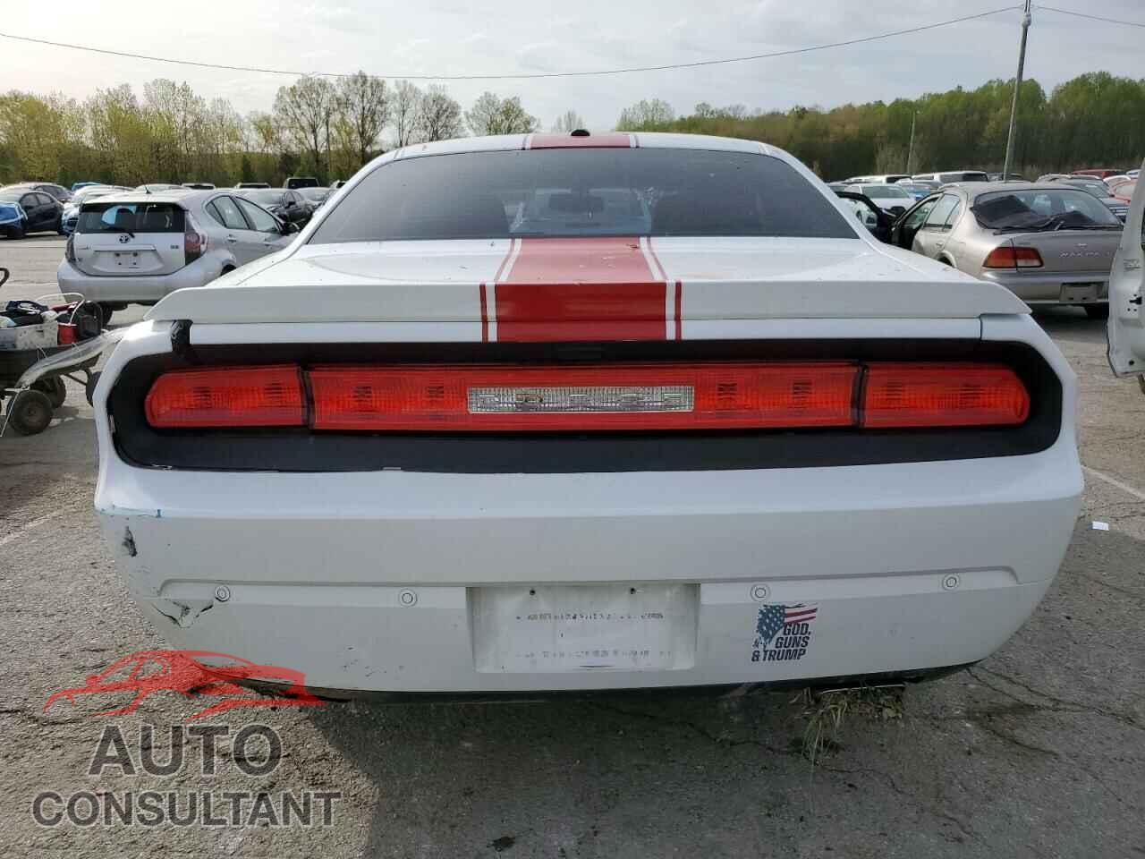 DODGE CHALLENGER 2013 - 2C3CDYAG3DH724508