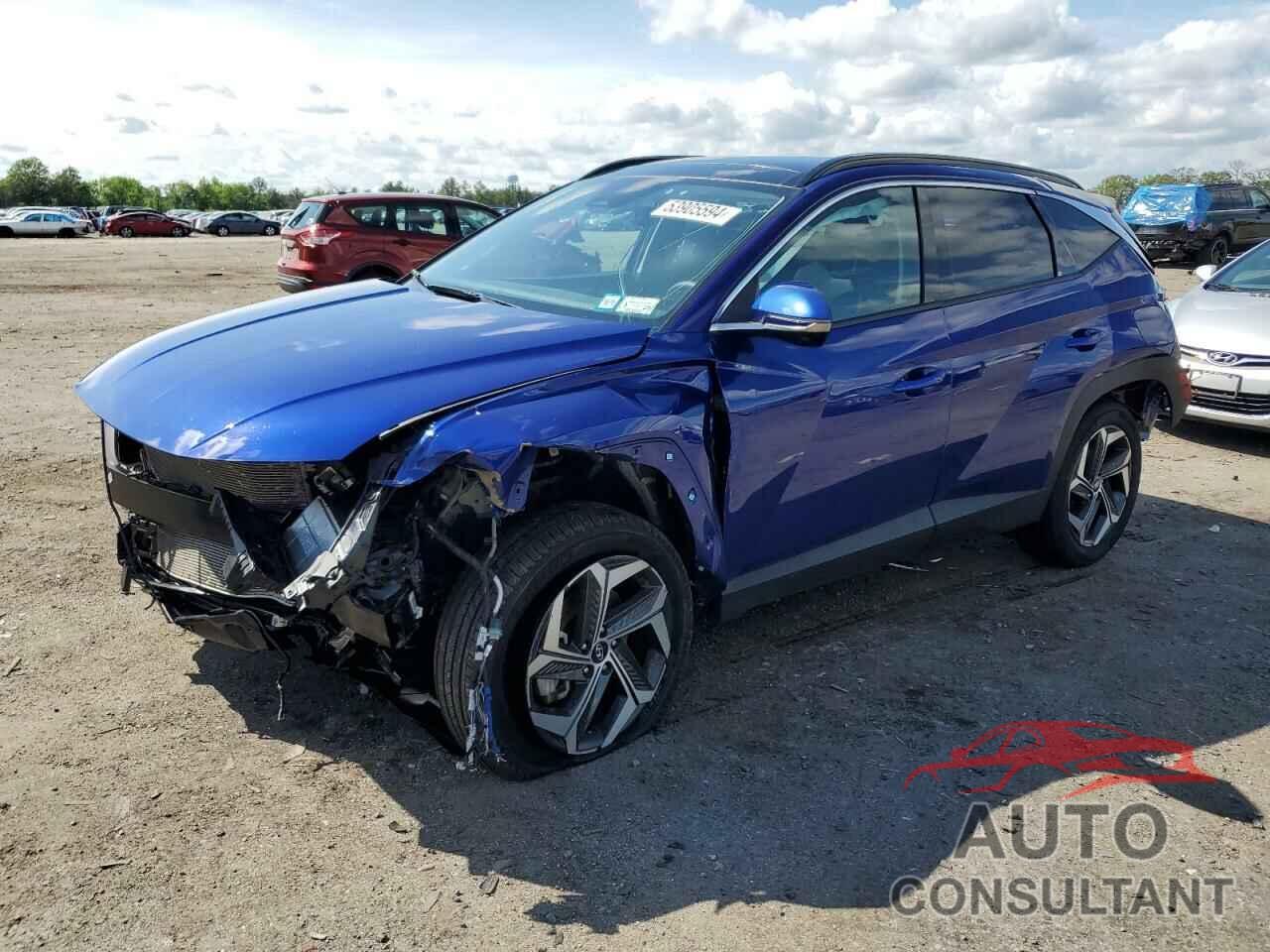 HYUNDAI TUCSON 2023 - 5NMJECAE5PH208936