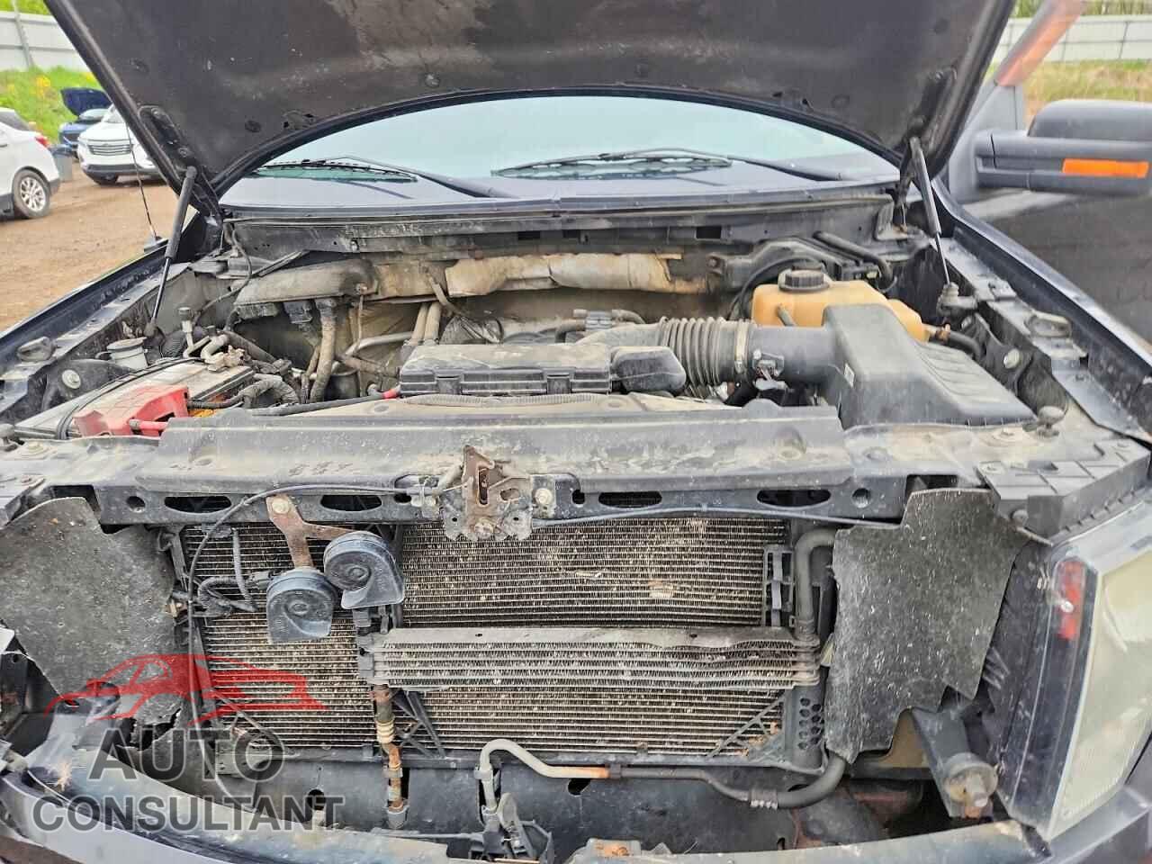 FORD F150 2012 - 1FTFW1EF0CFA46568
