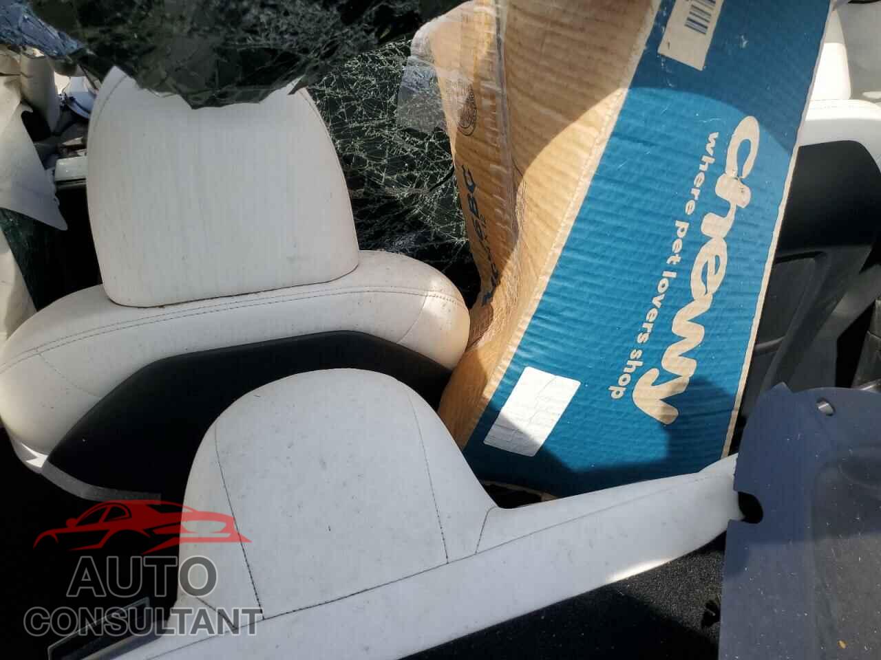 TESLA MODEL 3 2023 - 5YJ3E1EA3PF608032