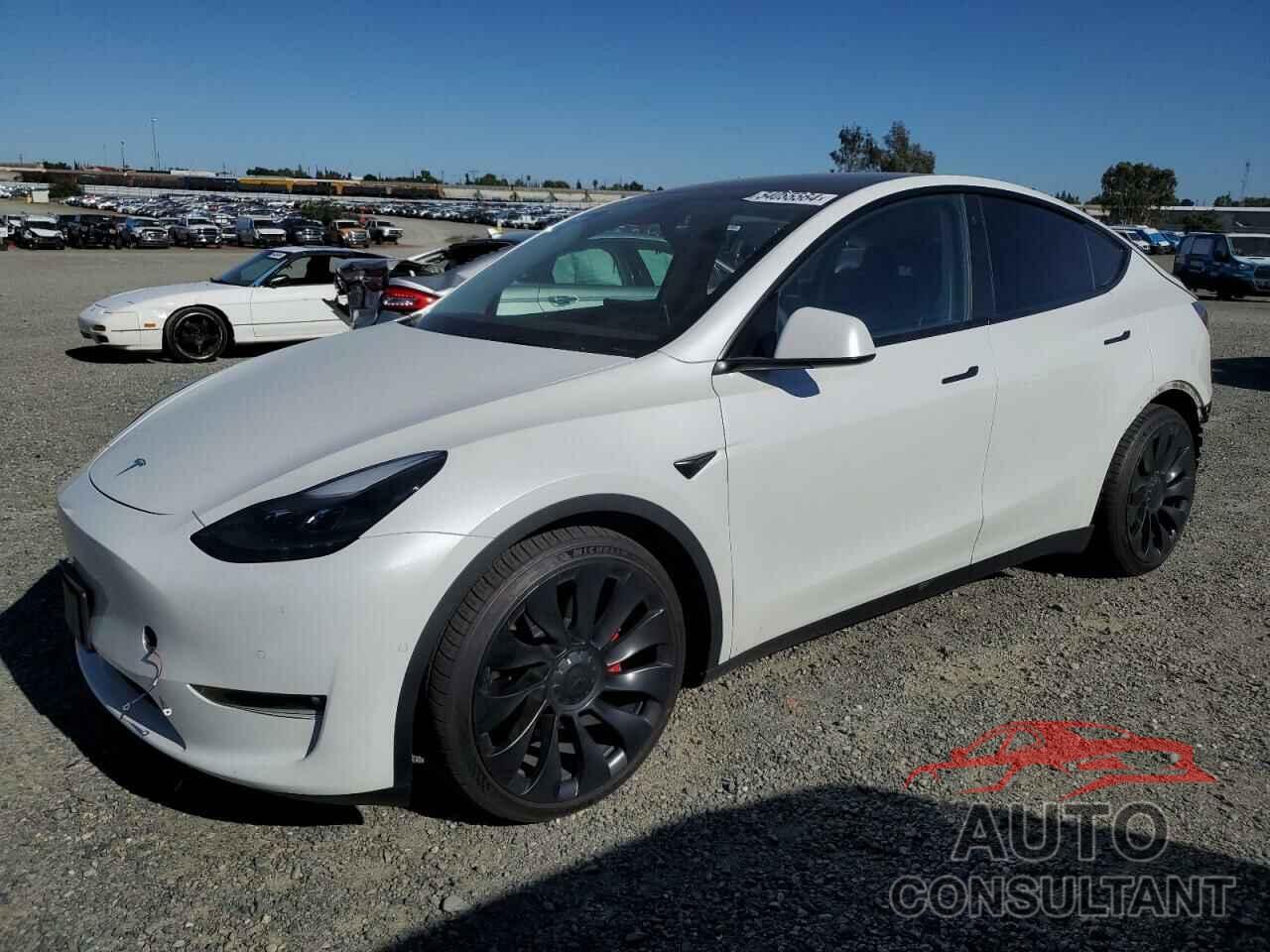 TESLA MODEL Y 2022 - 7SAYGDEF8NF408504