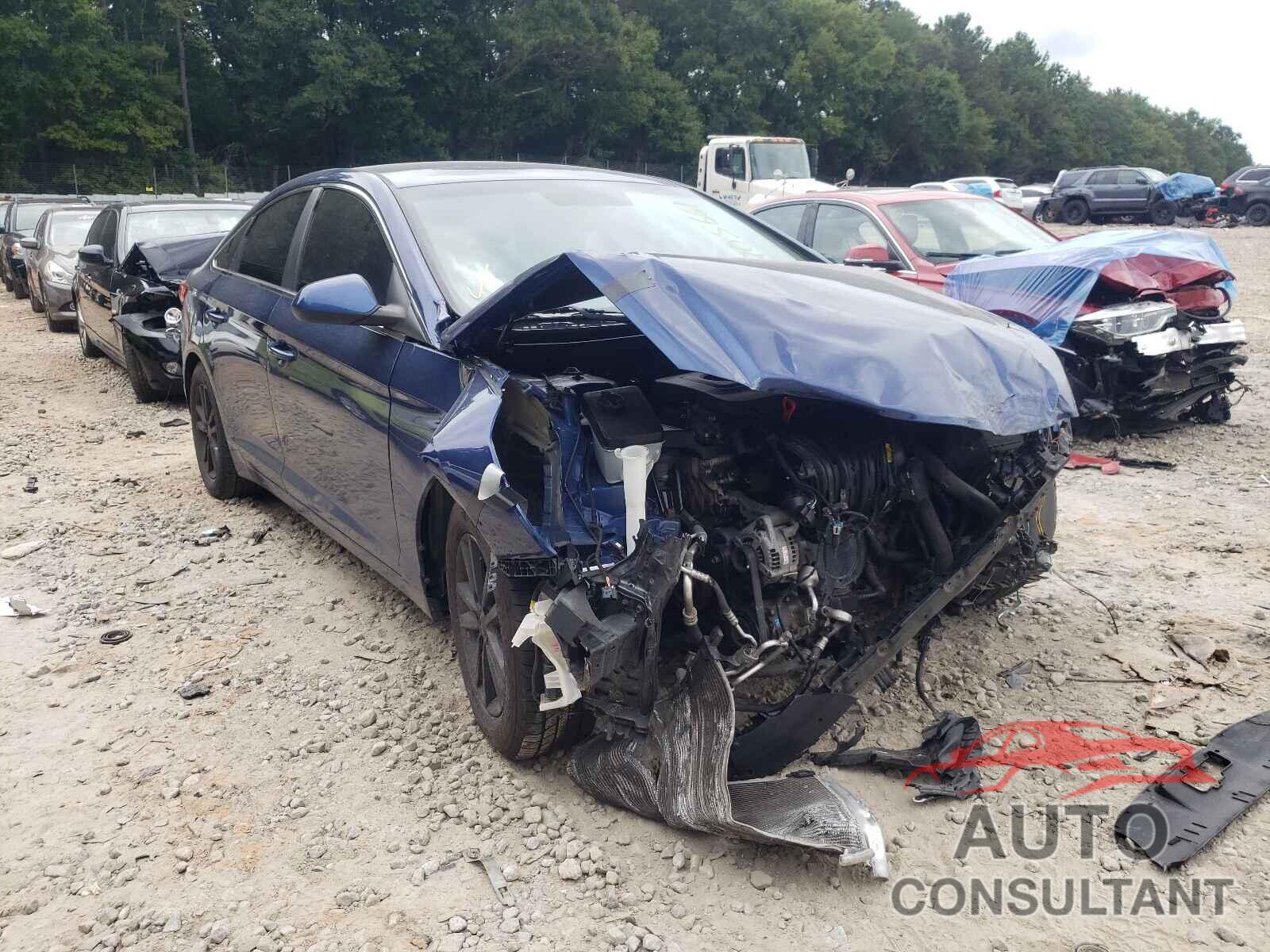 HYUNDAI SONATA 2016 - 5NPE24AF1GH298310