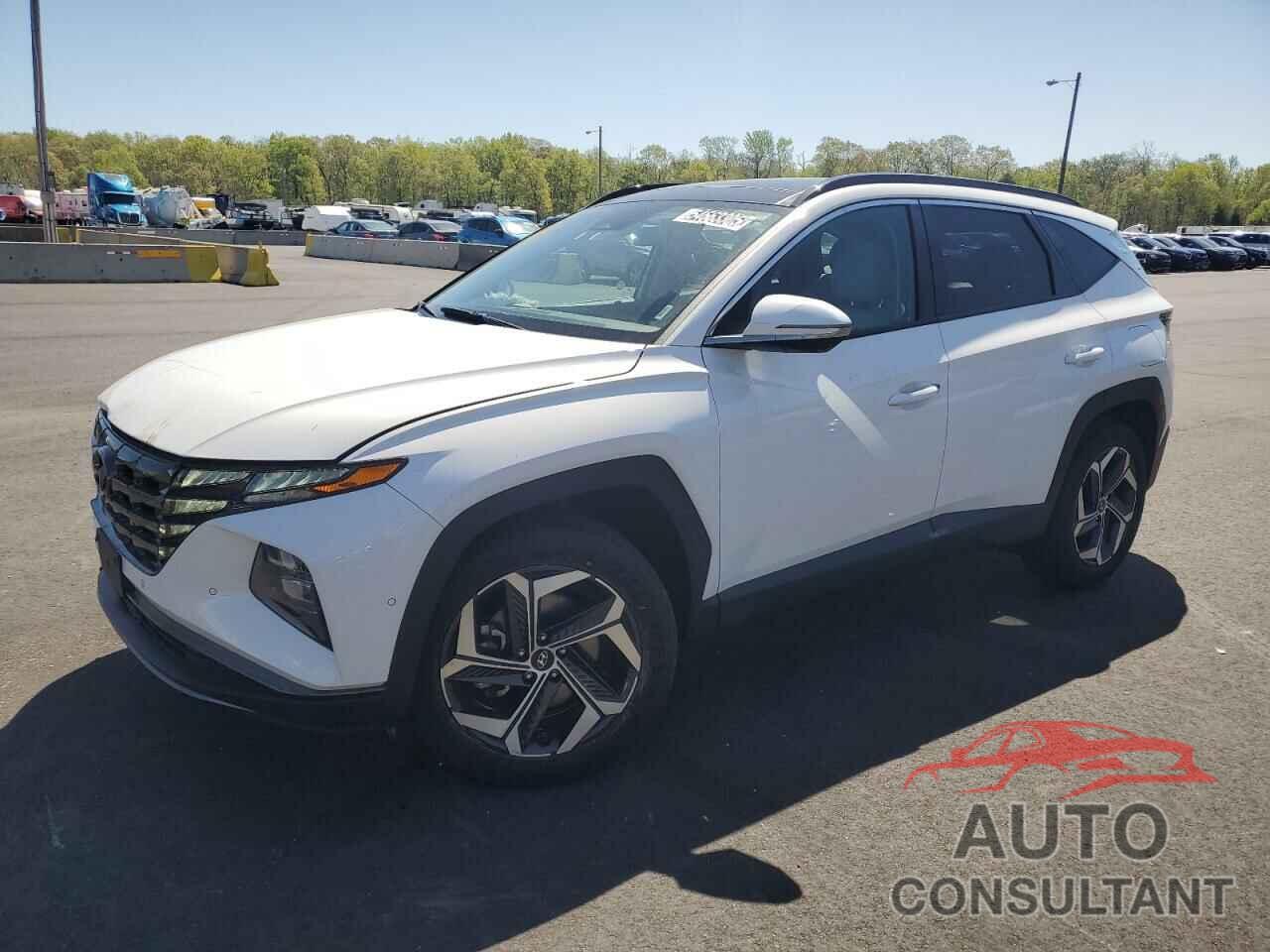 HYUNDAI TUCSON 2024 - 5NMJECDE2RH298447