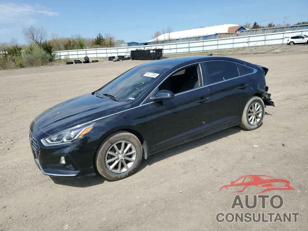 HYUNDAI SONATA 2019 - 5NPE24AF6KH806148