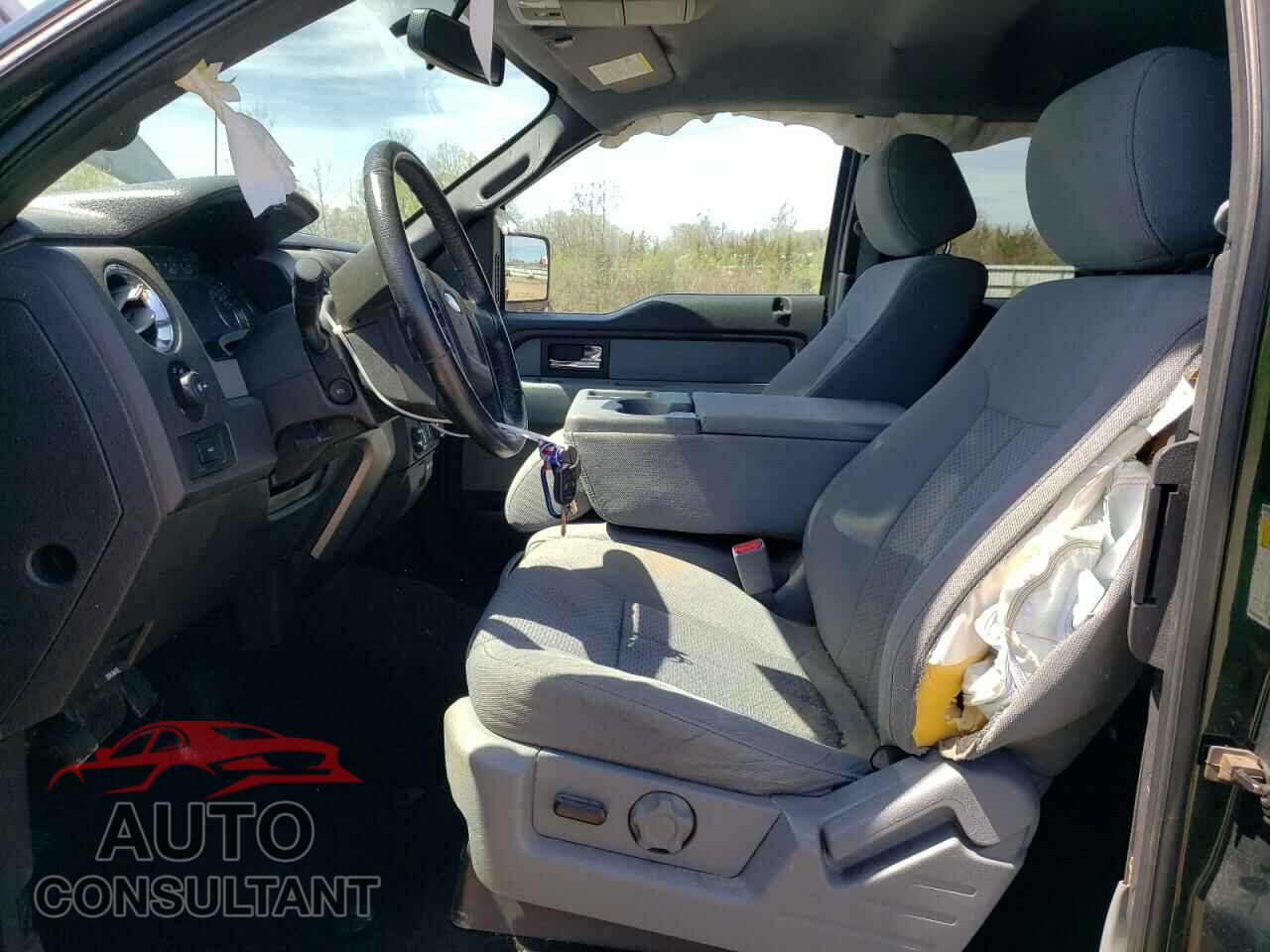 FORD F-150 2013 - 1FTFX1EF1DFA59702