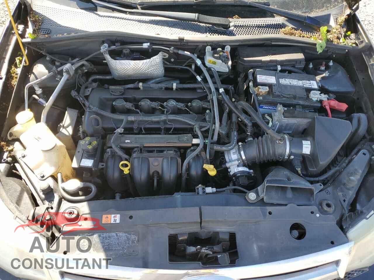 FORD FOCUS 2011 - 1FAHP3FN1BW152829