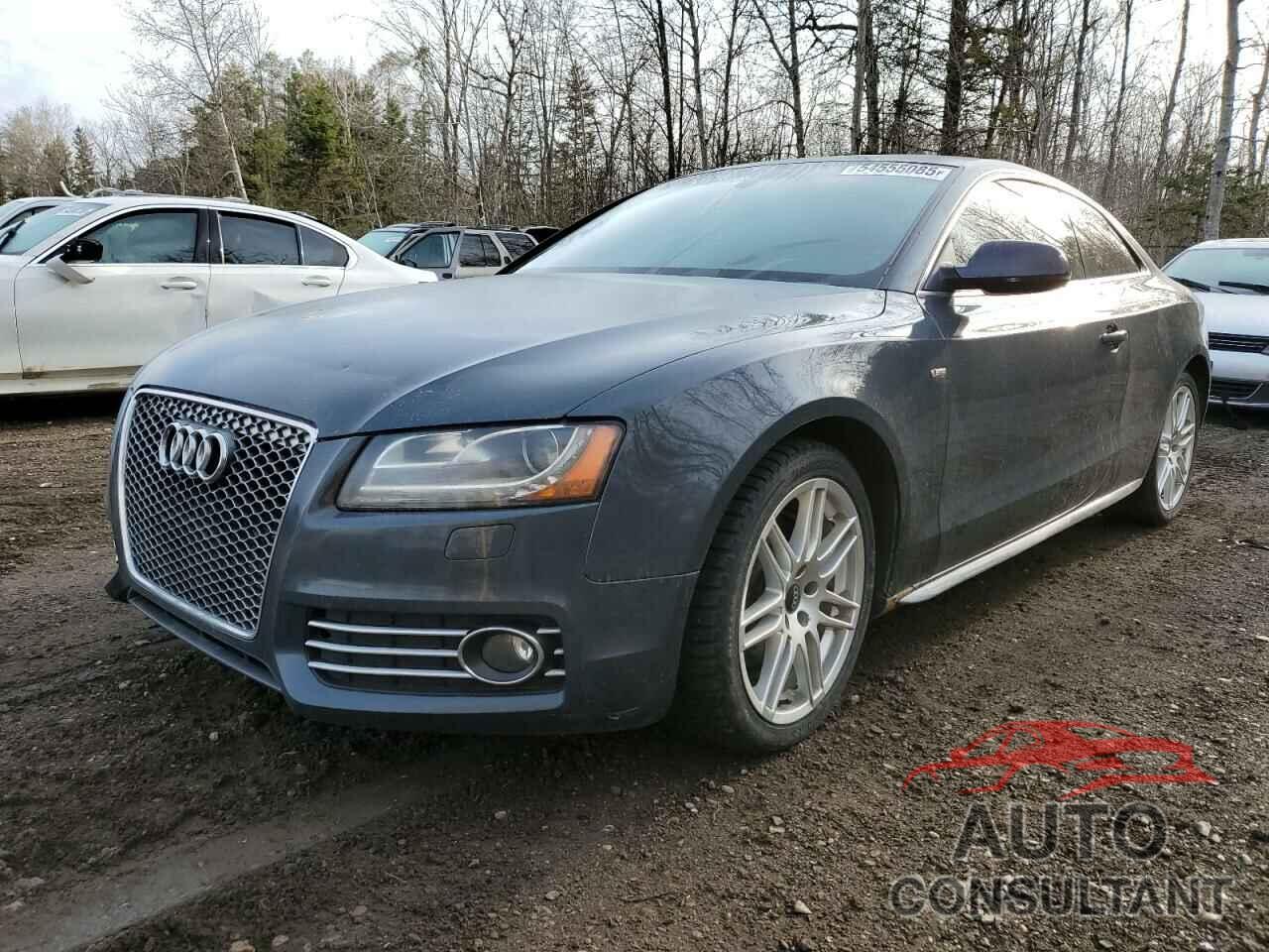 AUDI A5 2010 - WAUSFBFR9AA028266