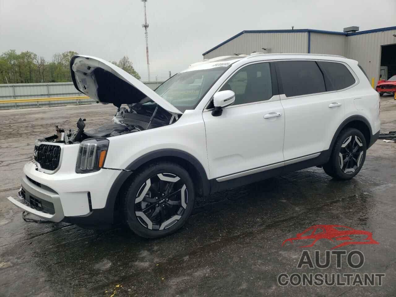 KIA TELLURIDE 2024 - 5XYP3DGC2RG471586