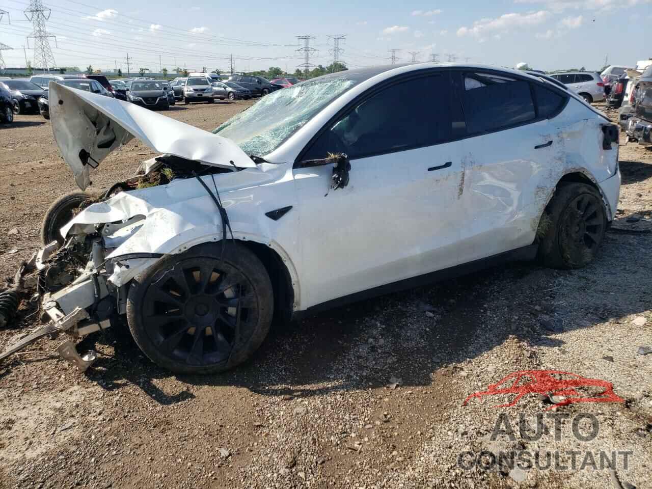 TESLA MODEL Y 2021 - 5YJYGDEE7MF295910