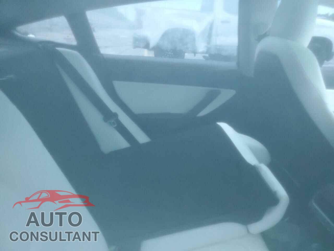 TESLA MODEL 3 2019 - 5YJ3E1EA5KF301714