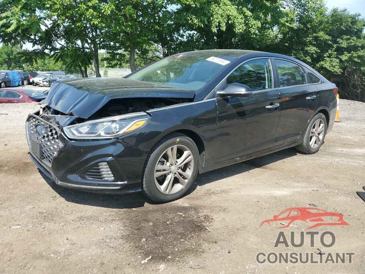 HYUNDAI SONATA 2019 - 5NPE34AF6KH743842