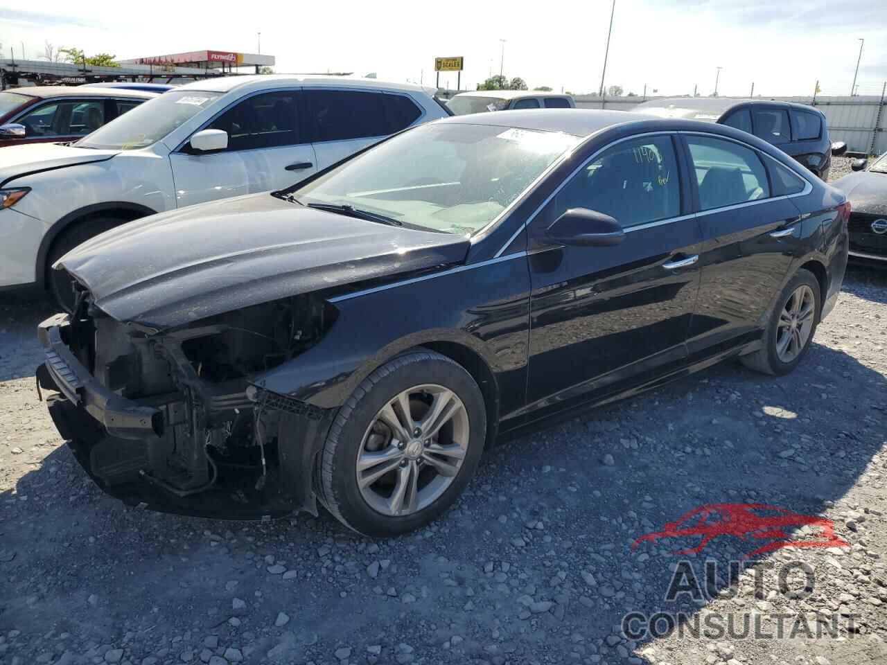 HYUNDAI SONATA 2019 - 5NPE34AF2KH781147