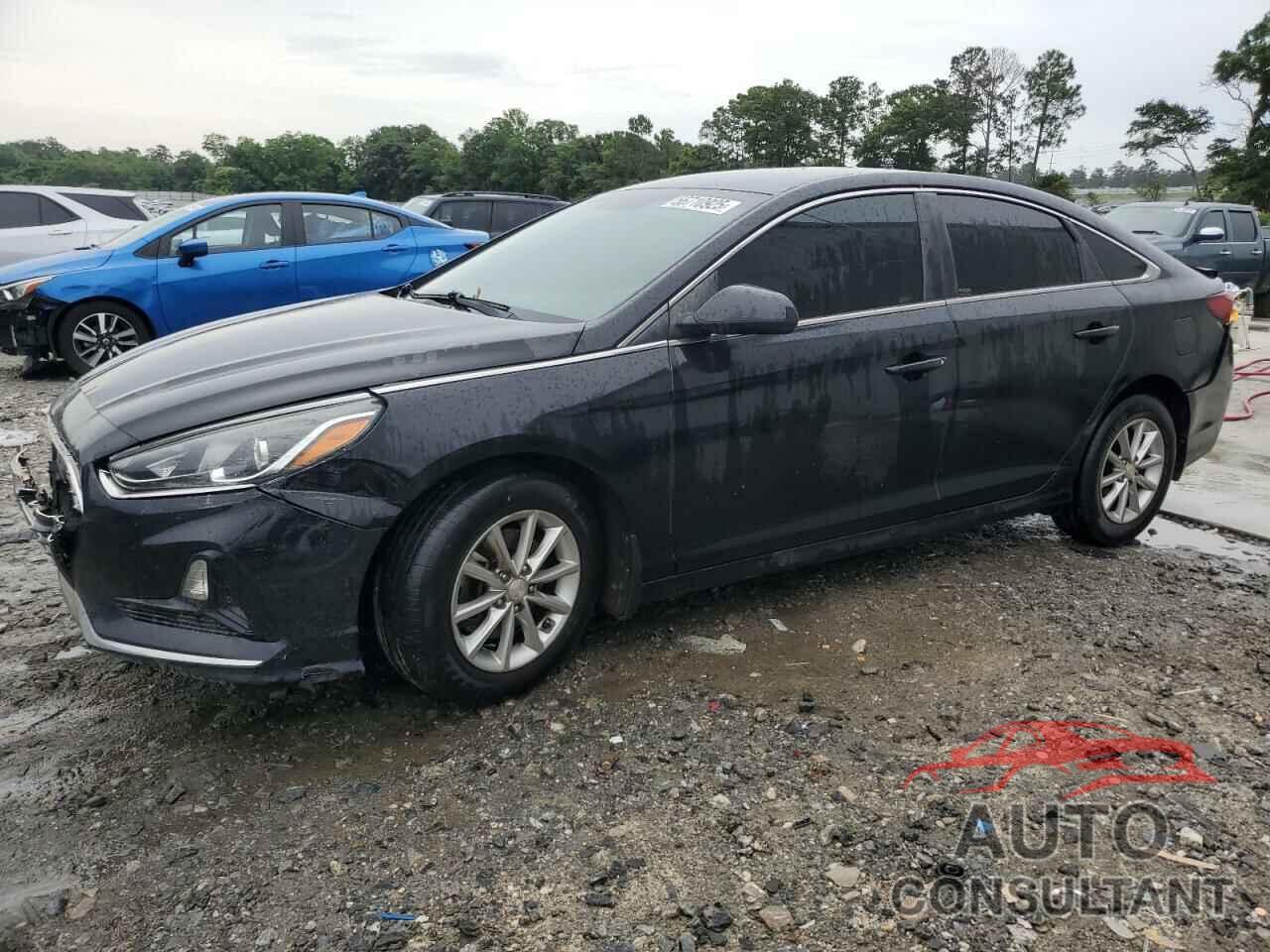 HYUNDAI SONATA 2019 - 5NPE24AFXKH796353