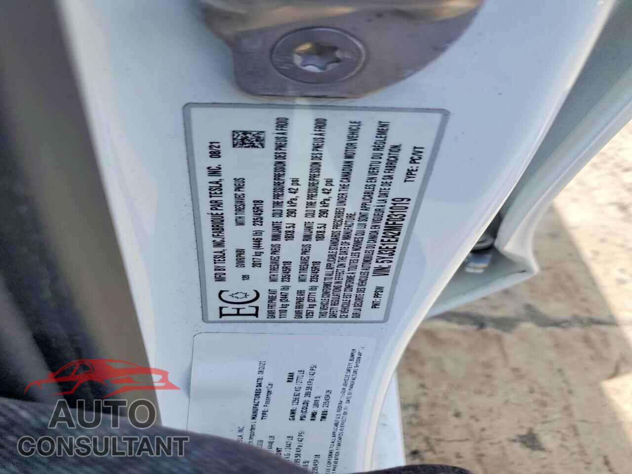 TESLA MODEL 3 2021 - 5YJ3E1EA2MF031019