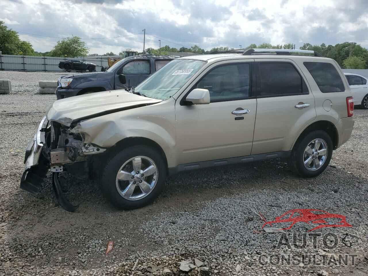FORD ESCAPE 2011 - 1FMCU0EG7BKA52803