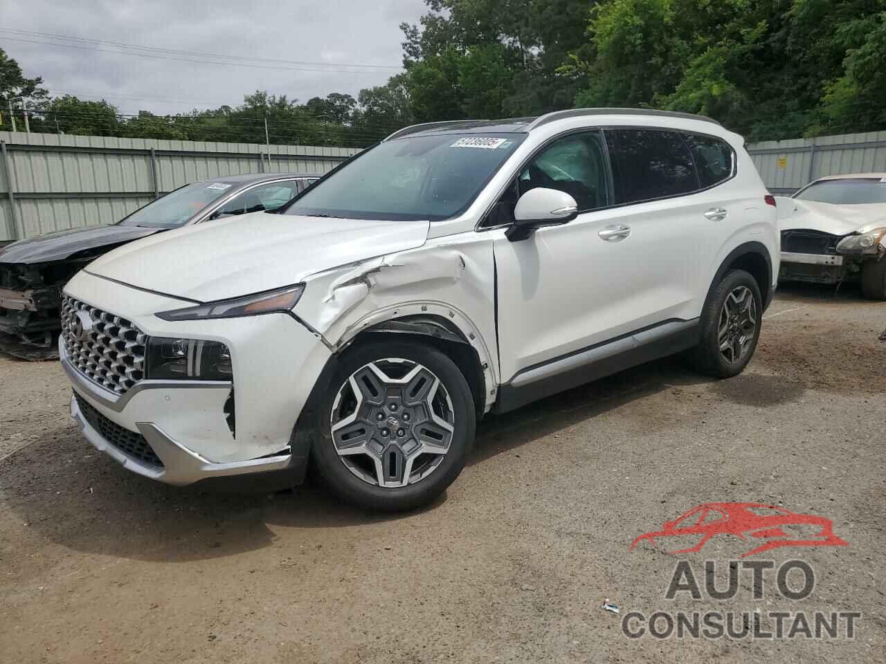 HYUNDAI SANTA FE 2021 - 5NMS4DAL5MH344457