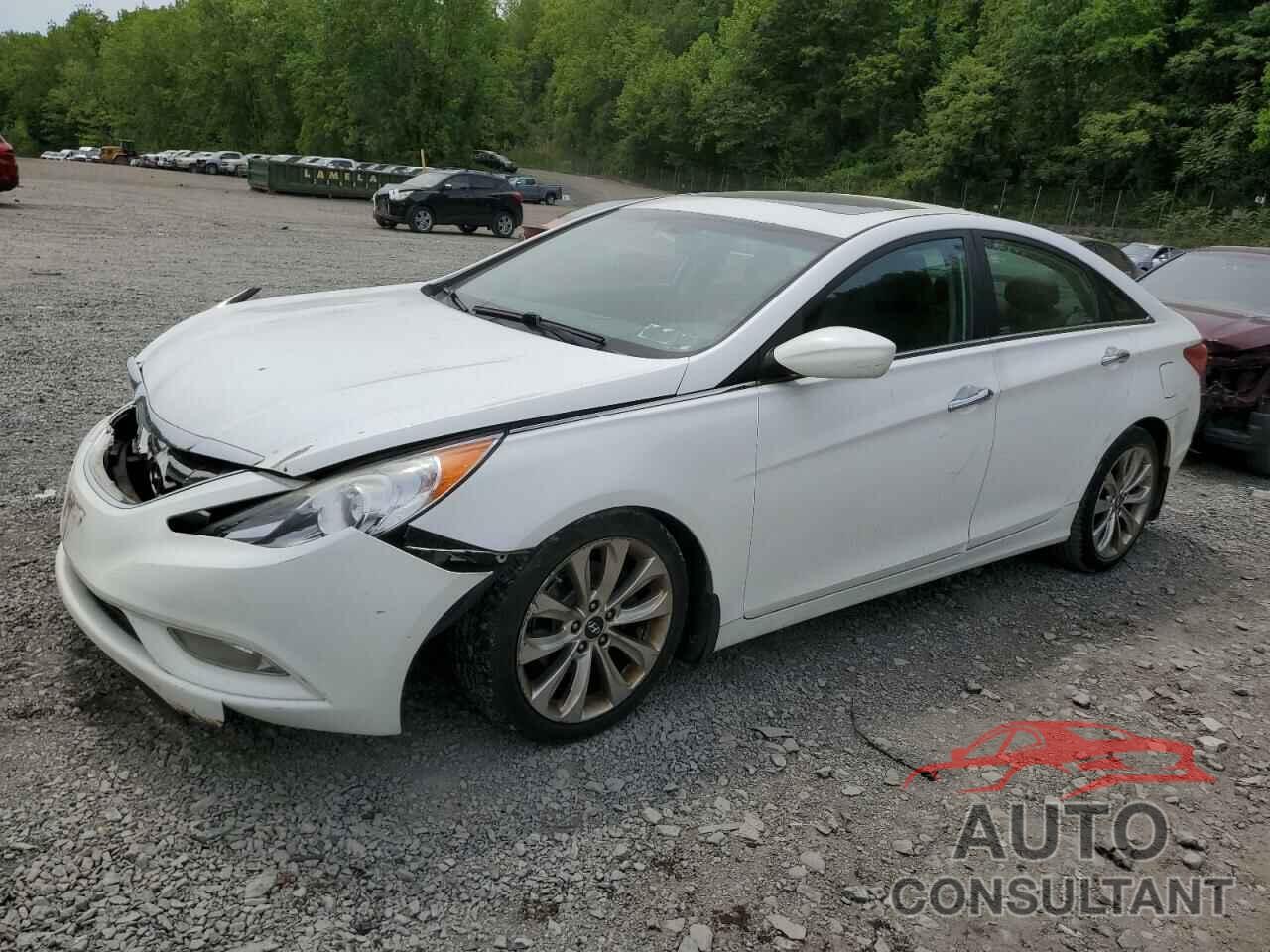 HYUNDAI SONATA 2013 - 5NPEC4AC4DH644221