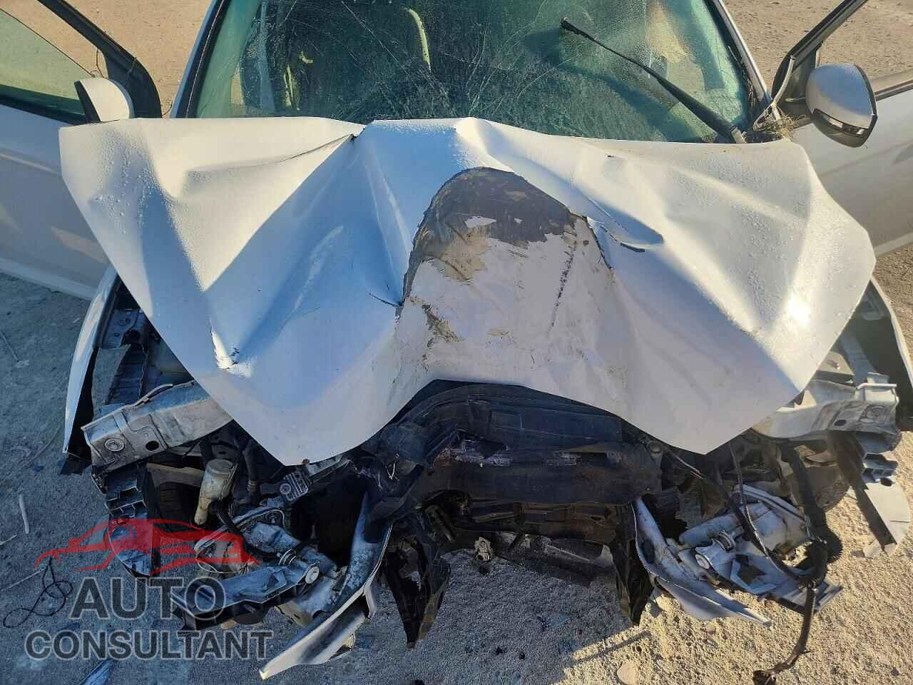 FORD FOCUS 2016 - 1FADP3F26GL214044
