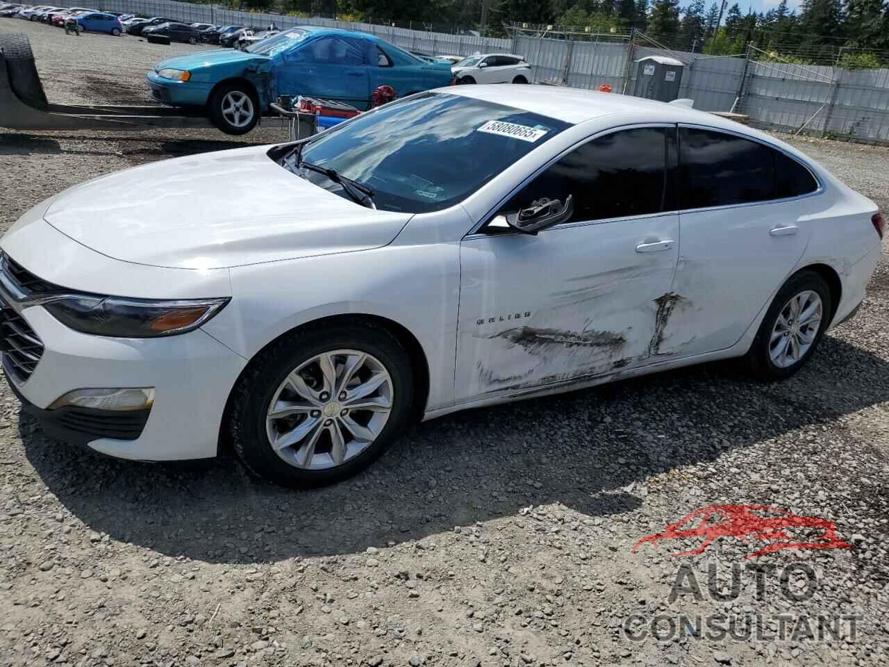 CHEVROLET MALIBU 2019 - 1G1ZD5ST5KF107988
