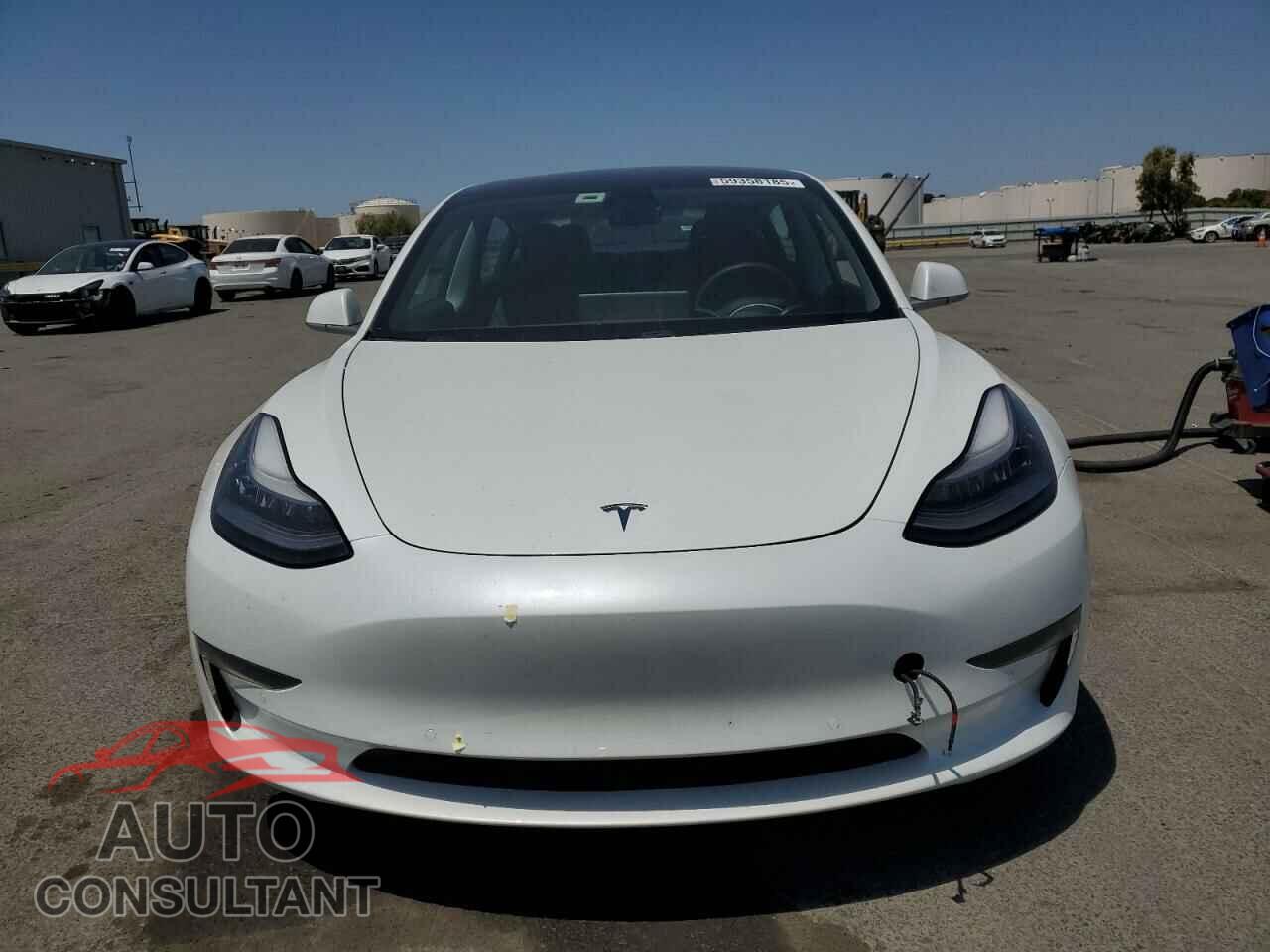TESLA MODEL 3 2019 - 5YJ3E1EAXKF466755