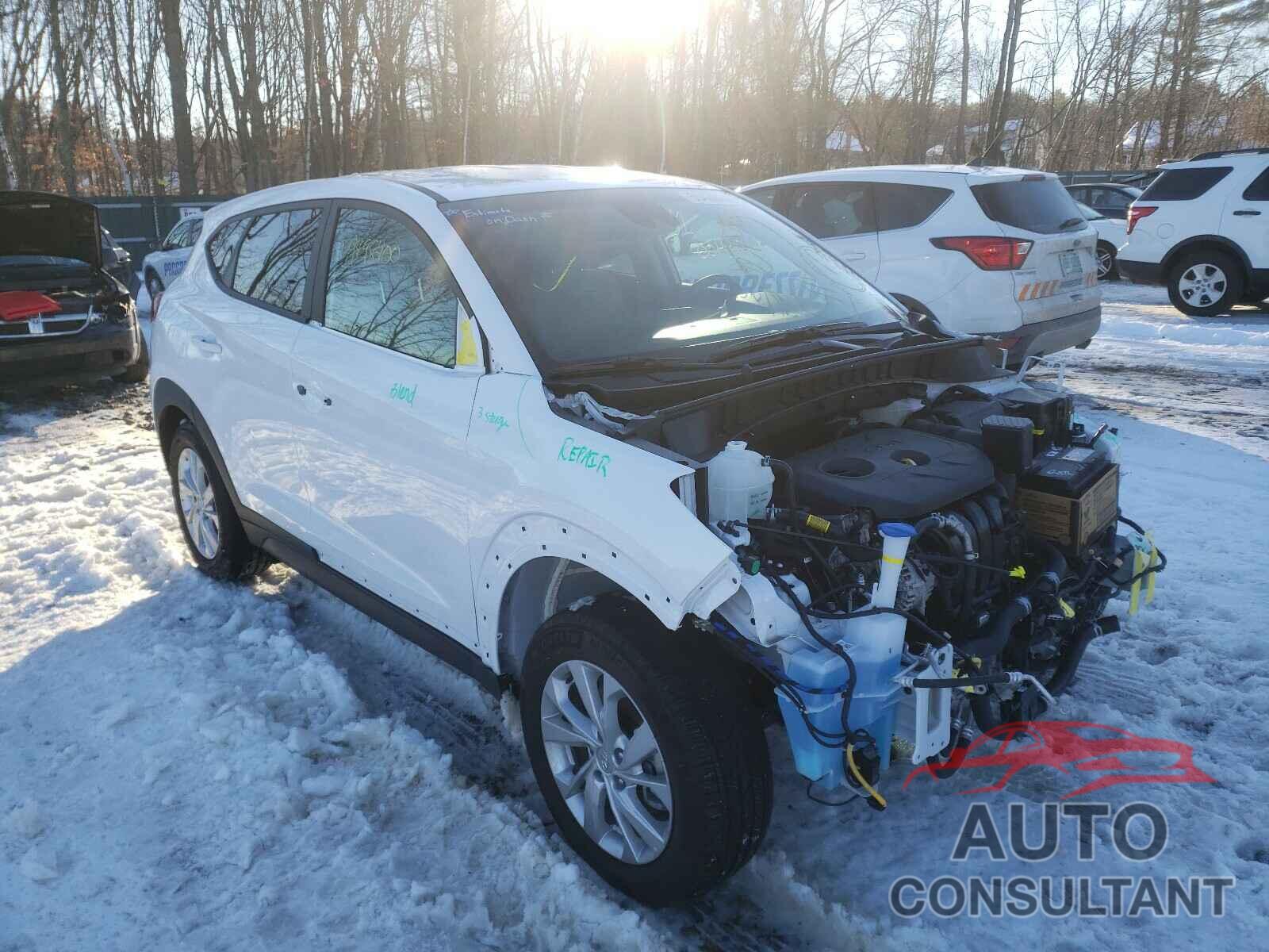 HYUNDAI TUCSON 2020 - KM8J2CA4XLU242370